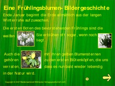 Fruehlingsblumen-Bildergeschichte.pdf